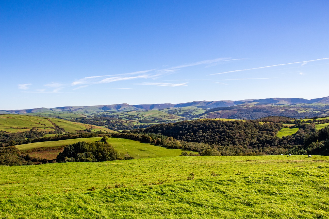 Mentera launches Cyfle+ to support new routes into employment across Wales